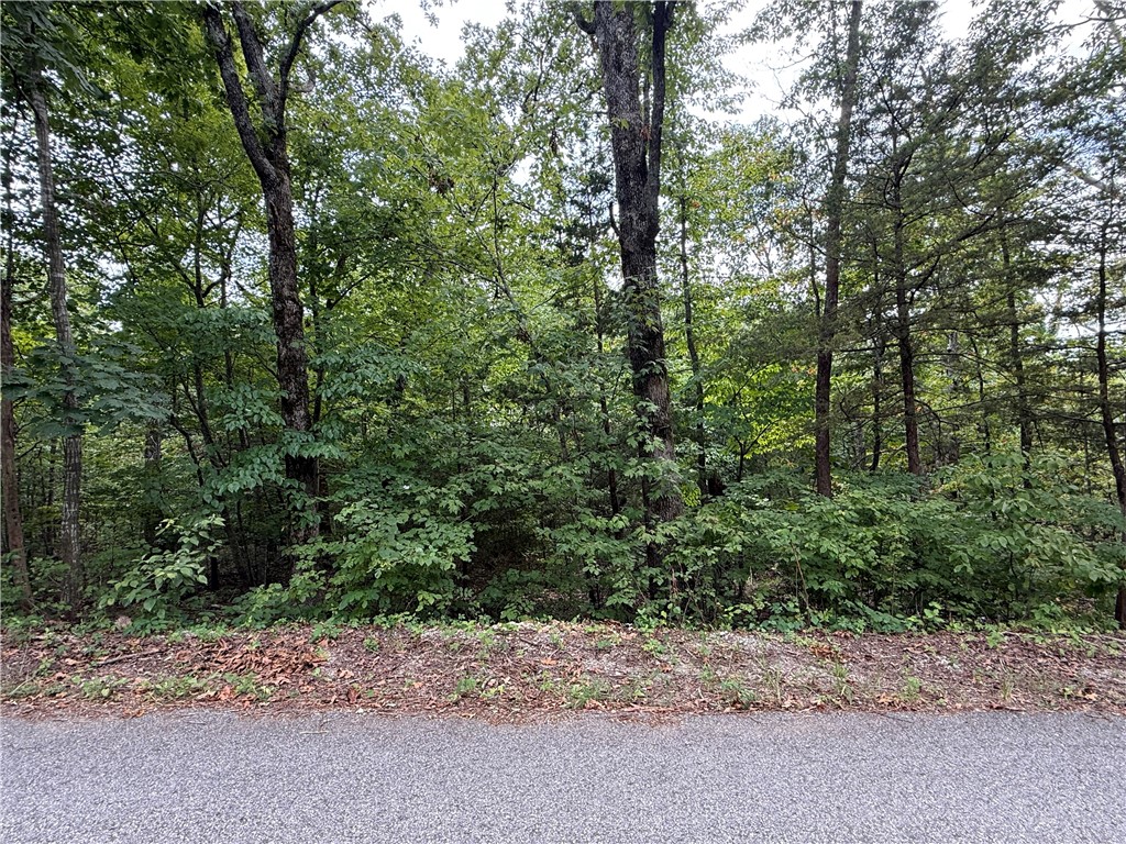 Imagine stepping out your front door and being just steps from the Tunnel Vision trail—ready for a morning ride or evening walk. This wooded Bella Vista lot offers the peace and quiet of the Ozarks with the perks of resort-style living. From lakes and golf courses to parks, pools, and endless trails, Bella Vista has it all. Build the home you’ve been dreaming of and start living the Northwest Arkansas lifestyle today!