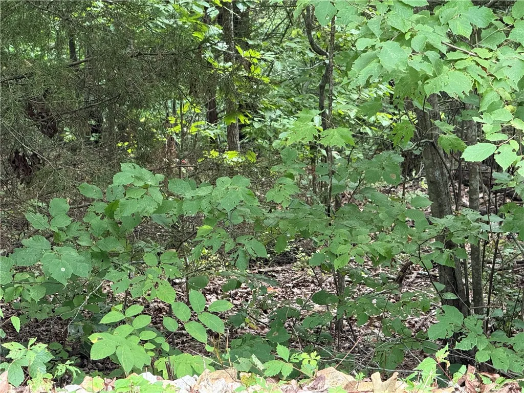 Bella Vista, Arkansas 72715, United States, ,Land,Active,194286