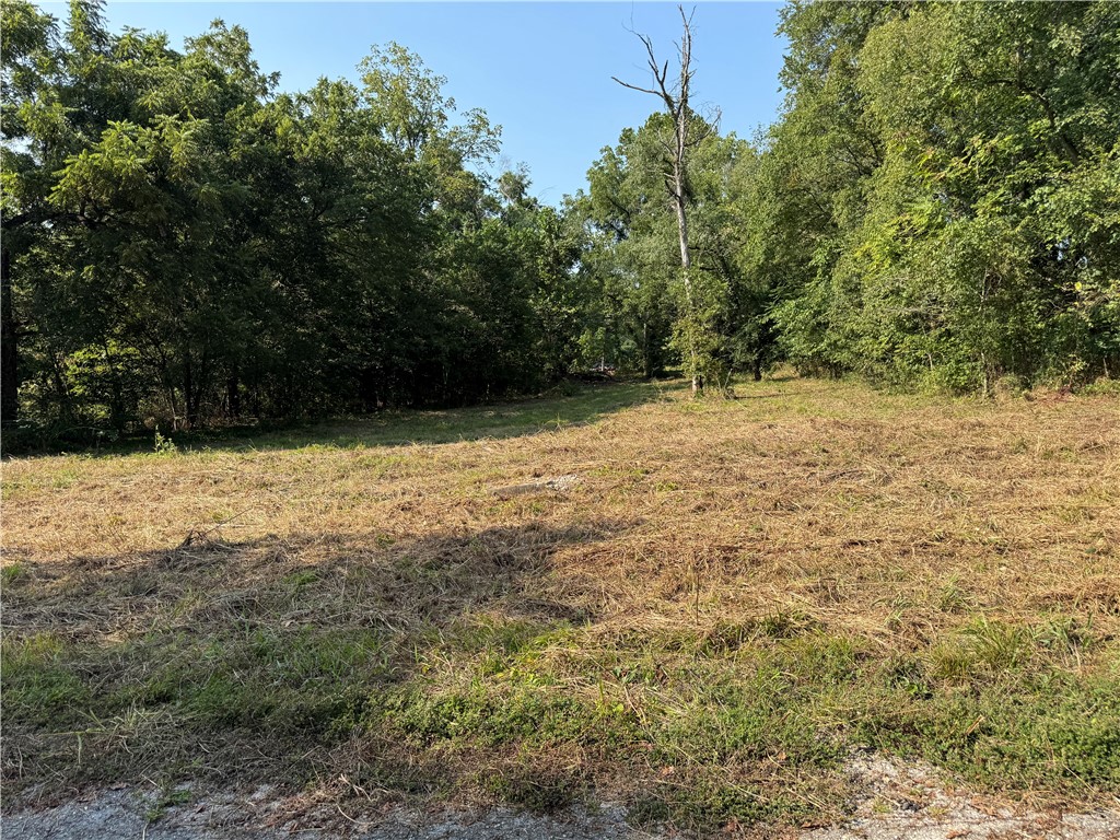 Rare opportunity! Offering 11 city lots with endless potential. This raw land provides plenty of space for developmentāwhether youāre looking to build multiple homes, create investment properties, or design your forever home with extra room to grow. Located within city limits and convenient to local amenities, this property is ideal for builders, investors, or anyone seeking a versatile piece of land. Buyer to verify availability of utilities and all development requirements.