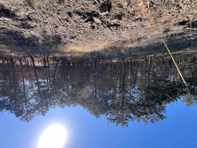 Unit 4 Holiday Island - Land