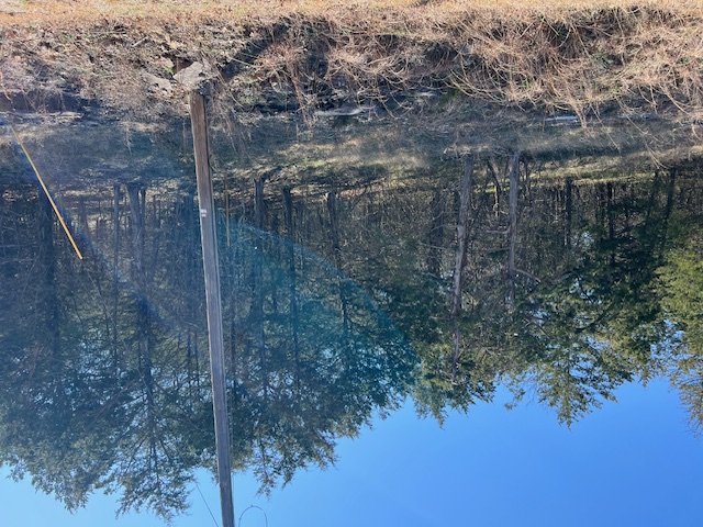 Unit 4 Holiday Island - Land