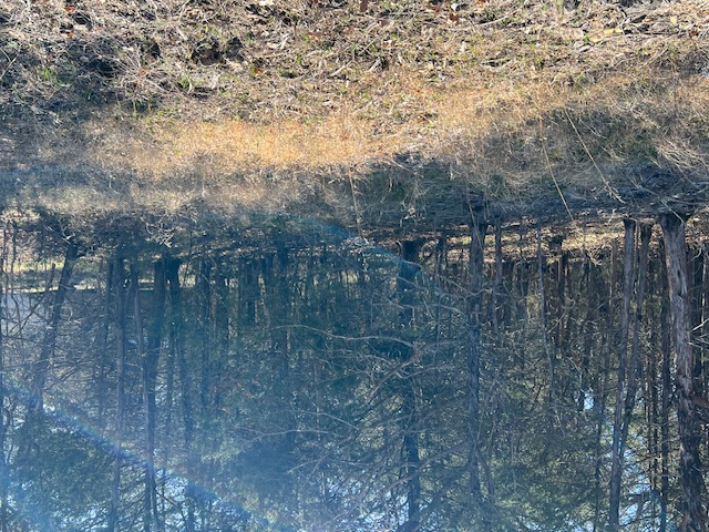 Unit 4 Holiday Island - Land