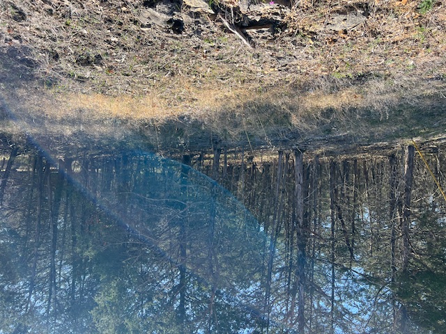 Unit 4 Holiday Island - Land