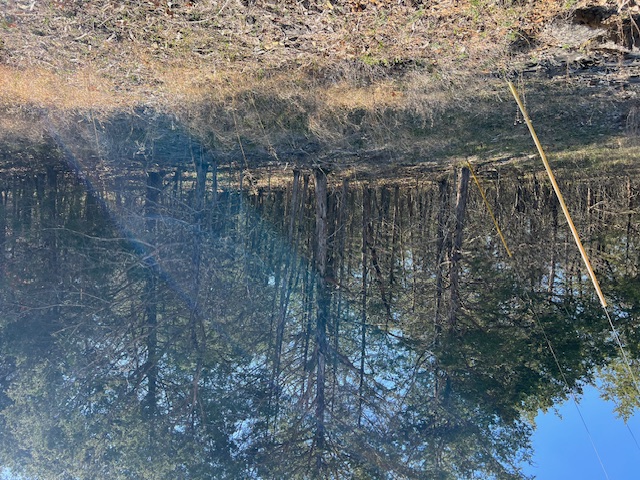 Unit 4 Holiday Island - Land