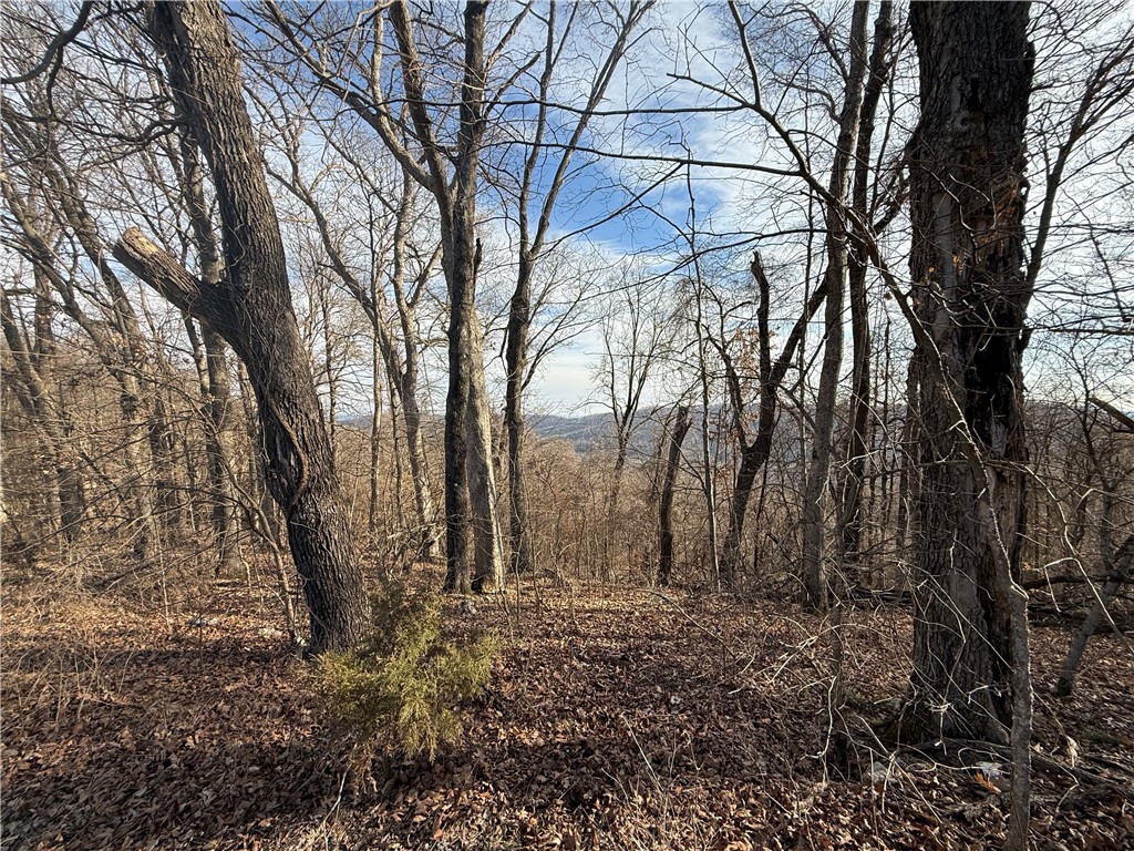 Unit 6 Holiday Island - Land