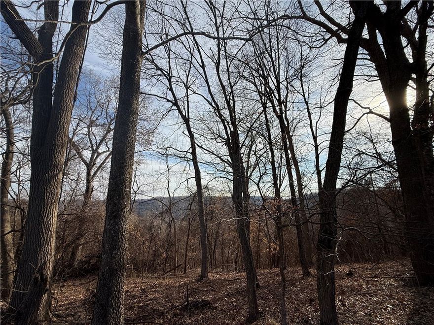 Build your dream home in the heart of the Ozarks on this stunning .40-acre hilltop property in Holiday Island! Enjoy breathtaking views, peaceful surroundings, and the option for a second, more secluded entrance from Hawk Dr below. Located near Table Rock Lake and the Holiday Island Marina, this property offers the perfect blend of privacy and recreation.

Holiday Island amenities include a recreation center with pool, tennis and pickleball courts, mini golf, a 9-hole executive golf course, and an 18-hole championship course. Enjoy lake access with a marina, fishing dock, boat launch, and nearby park.

Electric, Water and sewer are already at street, making it easy to start building. Conveniently located just 15 minutes to downtown Eureka Springs, 30 minutes to Berryville, and 45 minutes to Branson. Ideal for a full-time residence or peaceful getaway in the beautiful Ozark Mountains!