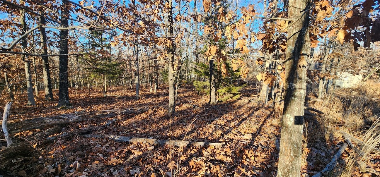 Build your dream home on this versatile .34-acre lot! The possibilities are endless with this super flat lot. With this property, enjoy membership to all 8 golf courses, 7 lakes, swimming pools, bike trails, recreation centers, shooting range, dining & much more! Immerse yourself in the natural beauty of the Ozarks & enjoy Bella Vista amenities & resort-style recreation.
