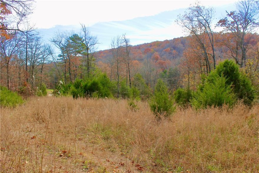 53+/- acre property, with Reed Creek frontage, a tranquil pond, and a natural spring. If you’re looking to build a peaceful retreat or a family homestead, this land offers multiple build sites both at the mountain’s peak and its base, providing a scenic views and private setting. The rock bluffs add character to the landscape, making this property as picturesque as it is practical. Utilities are in place with electric on-site and Madison County water available at the road, simplifying development. Access is easy with gravel road frontage, ensuring year-round reachability while maintaining a sense of seclusion. Another unique feature is Reed creek running along the southern border. Ideally located just 9 miles from Huntsville, AR, and only an hour from Springdale, this property offers the perfect balance of seclusion and accessibility. Outdoor enthusiasts will appreciate the proximity to the Kings River, just 20 minutes away, and the iconic Buffalo River, a mere 38-minute drive.