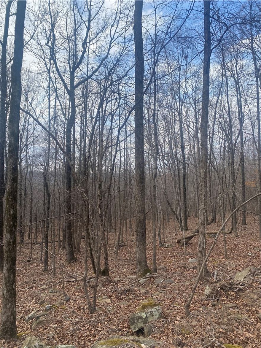 50 picturesque and wooded acres of Ozark beauty with a creek. This is the perfect place for a hunting cabin, an investment, or a long-term homestead. The land is an outdoorsman's dream with abundant wildlife. Located near the White River and OHV riding trails, this property has something for everyone loving all things outdoors.