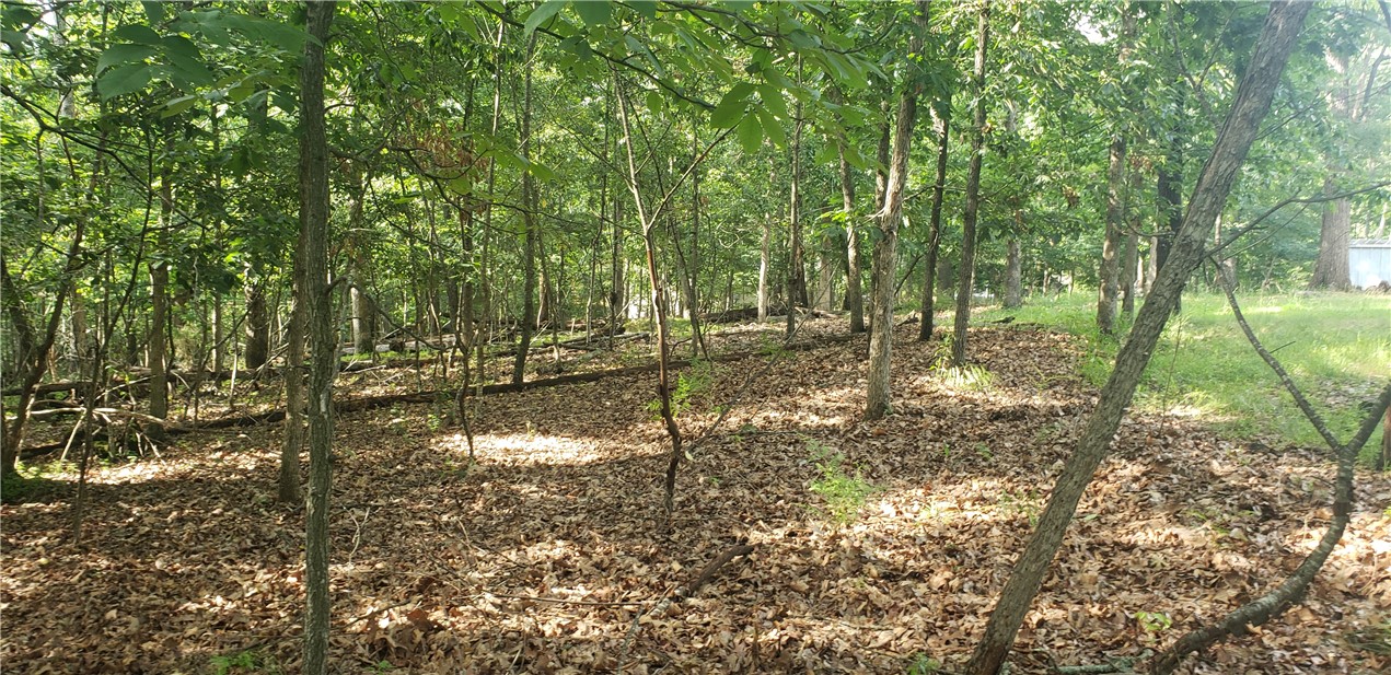 Great east side location, Bentonville School district, culdesac lot, close to I 71 15 minutes to Bentonville to the south and Missouri to the north. Close to Riorden Rec center, back 40 bike trails , restaurants and grocery shopping close by. Flat land perfect for building your new home!