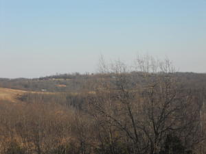 Scenic Point Estates- If you are looking for a parcel of land to build on with a view this is it. Property will have restrictions to protect your investment. Rural water, electric, and high speed internet are available. All this close to the Buffalo National River and the Ozark National Forest. Just a short drive south of Jasper.