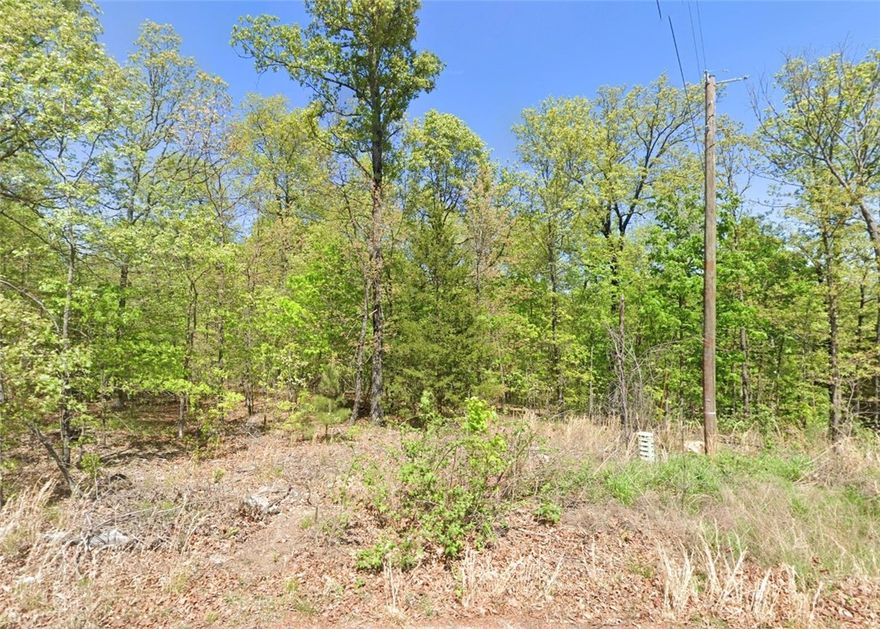 There's a sweet wooded lot in Bella Vista for sale,
On Bonnyrigg Circle — just off the trail!
   Level ground, trees galore,
   Near Loch Lomond's shore,
At $24K, this deal simply can't fail!
The POA brings golf courses — count seven!
Plus lakes, pools, and trails straight from heaven.
   Bike parks, tennis, rec centers,
   For all types of venturers —
NW Arkansas living at an eleven!