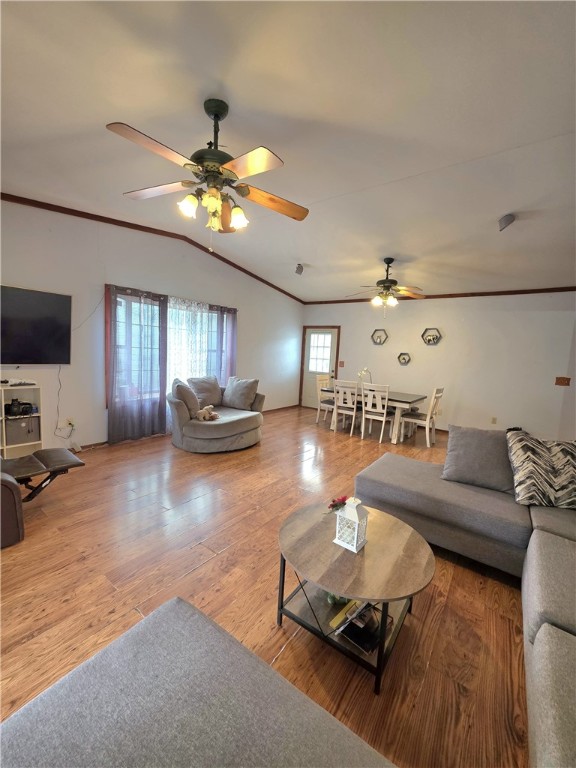 Springdale Outlots - Residential