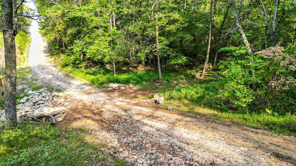 5 acres located just outside of Pea Ridge. Secluded land with many possibilities. Property has lots of wildlife and trees for privacy. There is an easement that goes through the property for the neighbor.