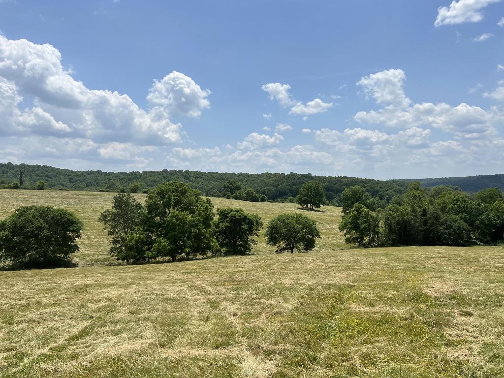 Great fenced pasture and building site. 42.15 Acres M/L with mostly pasture, paved road, 5 ponds, seasonal spring, electric, rural water and phone available. Wonderful location to build between Branson, MO and Harrison, AR. Come check it out today.