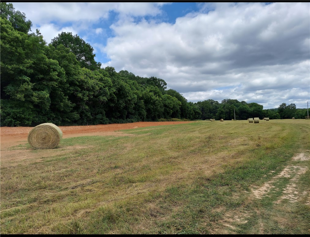 07-20-29-Pea Ridge - Land