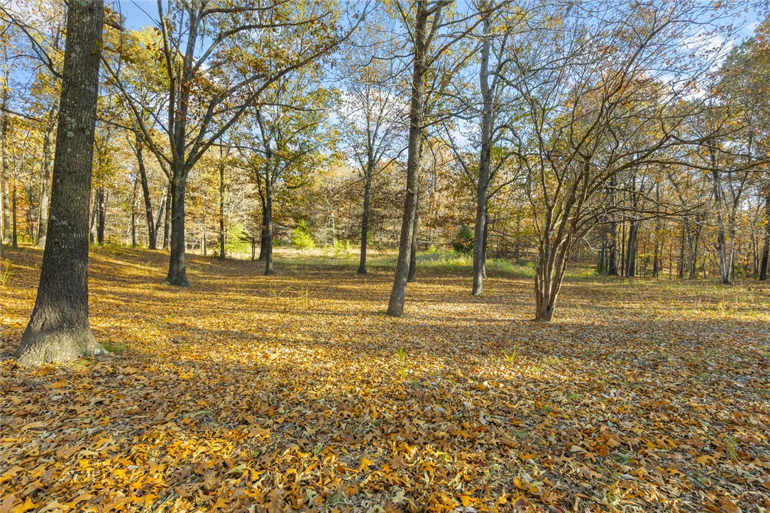 Sky Ridge View Estates - Residential