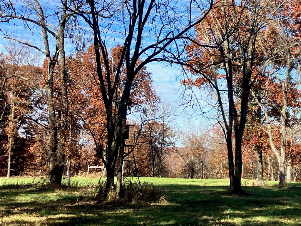 Arrowhead 2nd Addition - Land