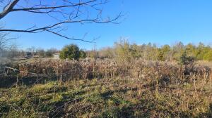 Build Your Dream Home on 3 Stunning Acres in the Most Sought-After Area! Discover the perfect canvas for your dream home just outside Dardanelle on East Gate Circle, one of the area's most desirable location. This 3-acre lot offers plenty of space for your vision to come to life, whether you're planning a private retreat or a family estate. Key features include: *Utilities Ready:*Conveniently located at the street for easy access. *Scenic Beauty:*Enjoy the natural charm of a wet-weather creek flowing at the back of the property. **Prime Location:** Nestled in a popular and thriving area, combining peaceful rural vibes with close proximity to town. Don't miss your chance to claim this exceptional property!