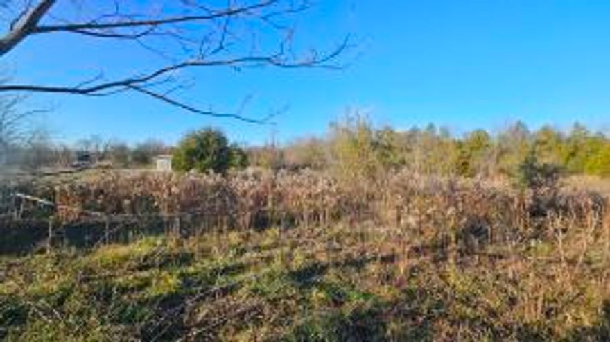Build Your Dream Home on 3 Stunning Acres in the Most Sought-After Area! Discover the perfect canvas for your dream home just outside Dardanelle on East Gate Circle, one of the area's most desirable location. This 3-acre lot offers plenty of space for your vision to come to life, whether you're planning a private retreat or a family estate.  Key features include: *Utilities Ready:*Conveniently located at the street for easy access. *Scenic Beauty:*Enjoy the natural charm of a wet-weather creek flowing at the back of the property. **Prime Location:** Nestled in a popular and thriving area, combining peaceful rural vibes with close proximity to town. Don't miss your chance to claim this exceptional property!