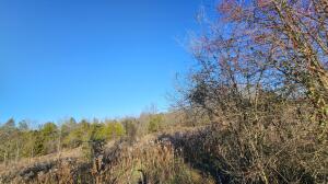East Gate Estates - Land