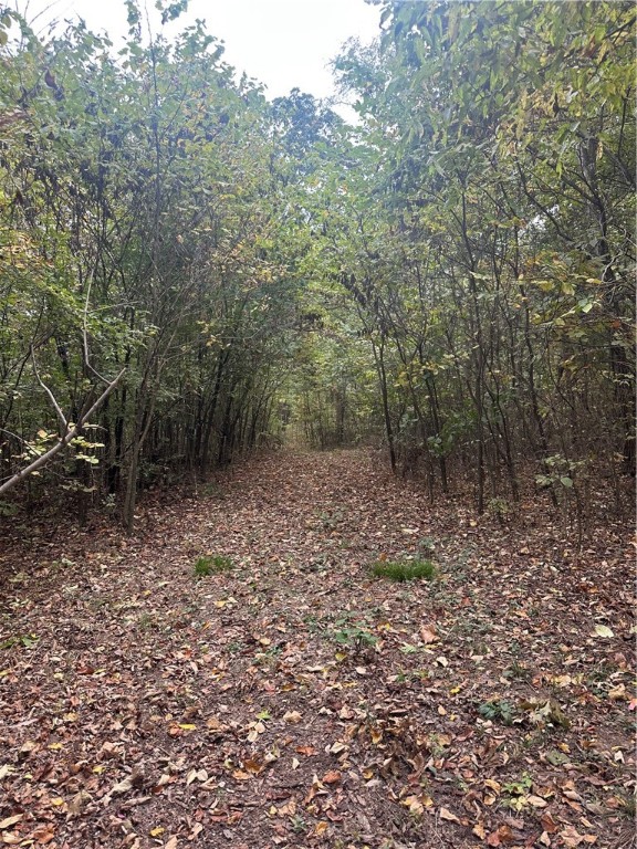 Forest Heights So #2 - Land