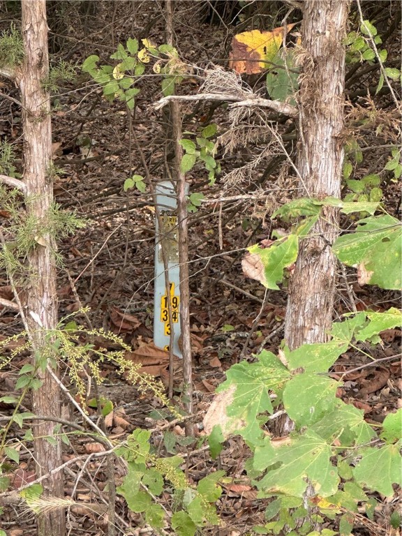 Forest Heights So #2 - Land