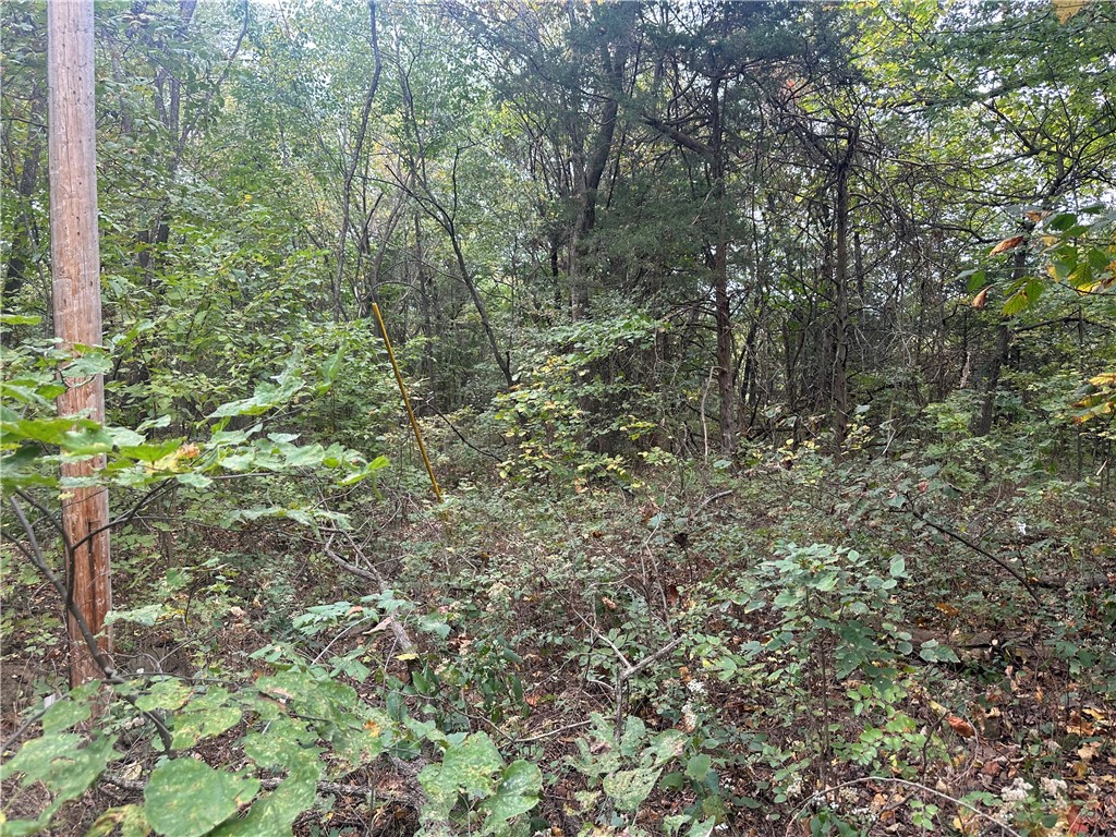 Forest Heights So #2 - Land