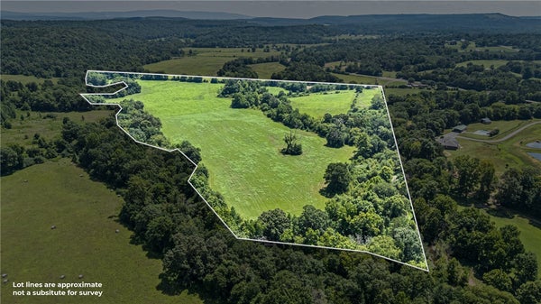 1718 SR 27, DOVER, AR 72837 - Image 26322c35b492463874d8eeee2efca9c2/3667902167