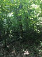 this property is all wooded with very nice trees on it. good building sites very secluded