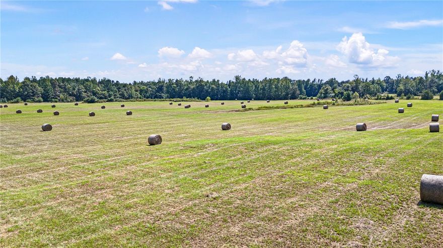 171.32 Acres | First Time Ever Offered
Perched above sweeping views of rolling pastures and wooded valleys, this 171-acre property delivers a rare blend of natural beauty, functionality, and genuine peace and quiet — hitting the market for the very first time.
Picture sitting on your country porch as cattle graze and deer move through the fields below. A premier building site awaits your vision, whether that's a forever home, a weekend retreat, or a working farm headquarters. The land checks every box: multiple ponds, open pasture, mature timber, a hay barn, and existing fencing — all just 575 yards from Ed Gordon Wildlife Management Area.
Easy access to I-40 East and West keeps you connected without sacrificing the serenity.
Cattleman, hunter, or simply seeking the good life — this versatile acreage is ready to deliver.
Deed Restriction: No mobile homes on certain portions. No minerals convey.
Opportunities like this don't come around often — and on this one, they never have.