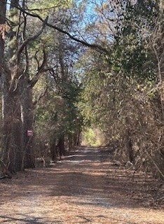 17-16-30 Fayetteville Outlots - Land