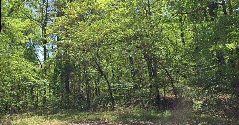 Leicester Sub Bvv - Land