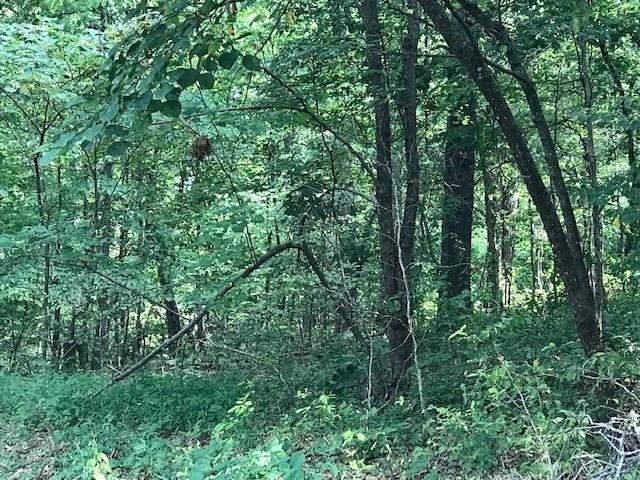 Leicester Sub Bvv - Land