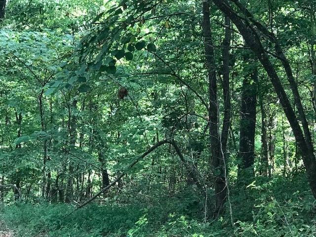 Leicester Sub Bvv - Land