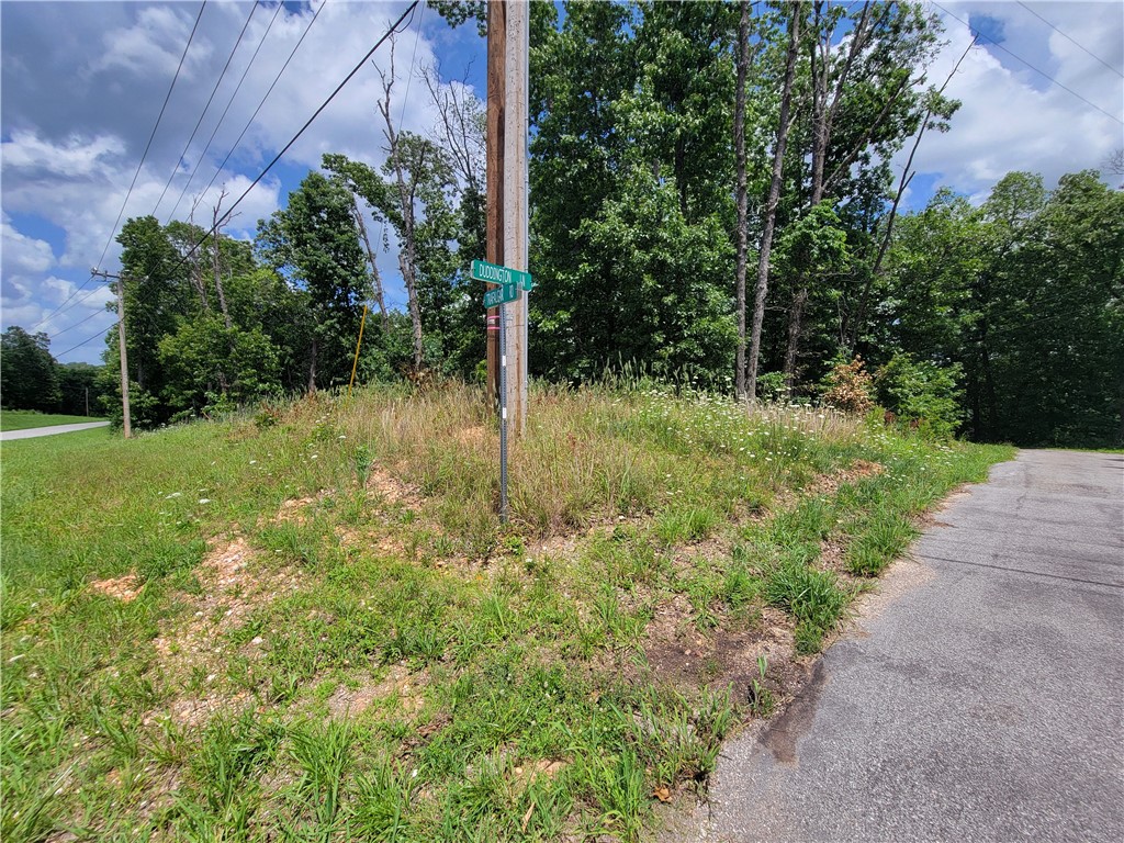 This lot is located in a very desirable part of Bella Vista near Lake Brittany and only about a 5-minute drive to Metfield Golf Course/Clubhouse, The Back 40 trails, and the Blowing Springs Greenway. This lot is nicely shaped and has a very mild slope making it a great building site for your new home. The seller has had a recent perc test done. The results are available upon request and attached to this listing. Go check out this lot and see if you can imagine your new home here. Bentonville schools.