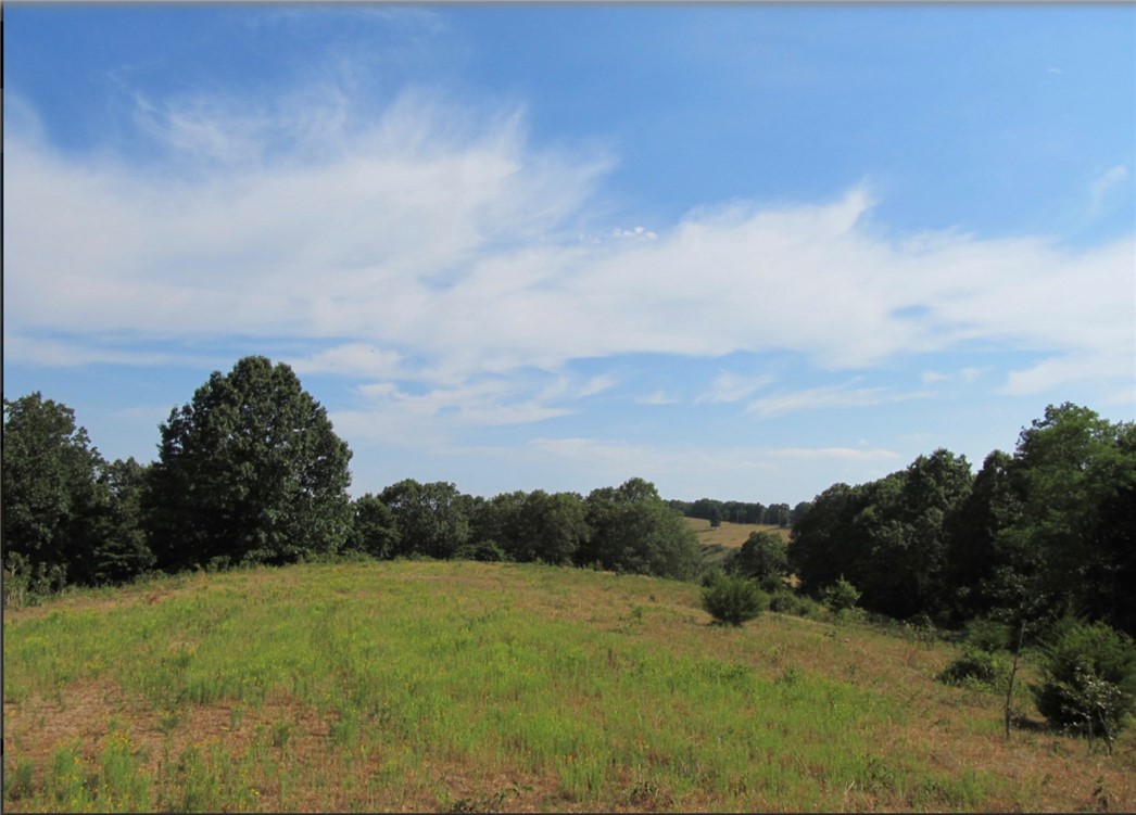 This 19 Acres is located High on a Mountaintop in the Aurora/Ball Creek area. Sitting an elevation of almost 2100 ft the property has an outstanding views to the east, south and west. On a clear day you can see for many miles aross neighboring mountains and pristine valleys. This is a great place to build a cabin or a permanent home. Electric is available. Deer, Bear, and Turkey are plentiful in this area as well as other game. If you are wanting land that is high up and has Beautiful Views give us a call $115,000