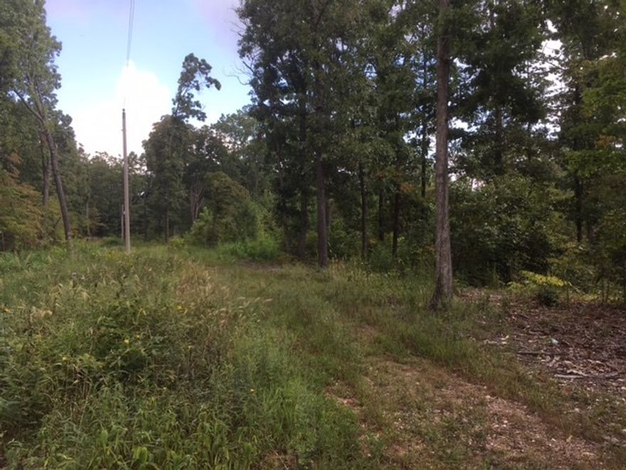 Hunters beware!  This 10 acre track backs up to Mark Twain National Forrest.  It has an abundance amount of wildlife including, but not limited to Deer/Turkey/Bear/ and Wild Hogs.  Property has public water on site, and would make a great place for a home or a hunting cabin.