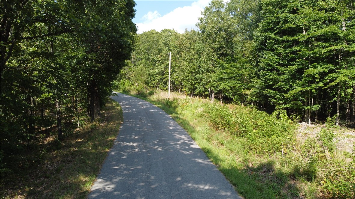 This is a great building lot with minimal slope. Located just up the hill from Lake Ann Park and the Back 40 Trails. Live in the privacy of Bella Vista with easy access to Bentonville. This lot is surveyed and soil tested. Ready for your plans. Build to suit services available.