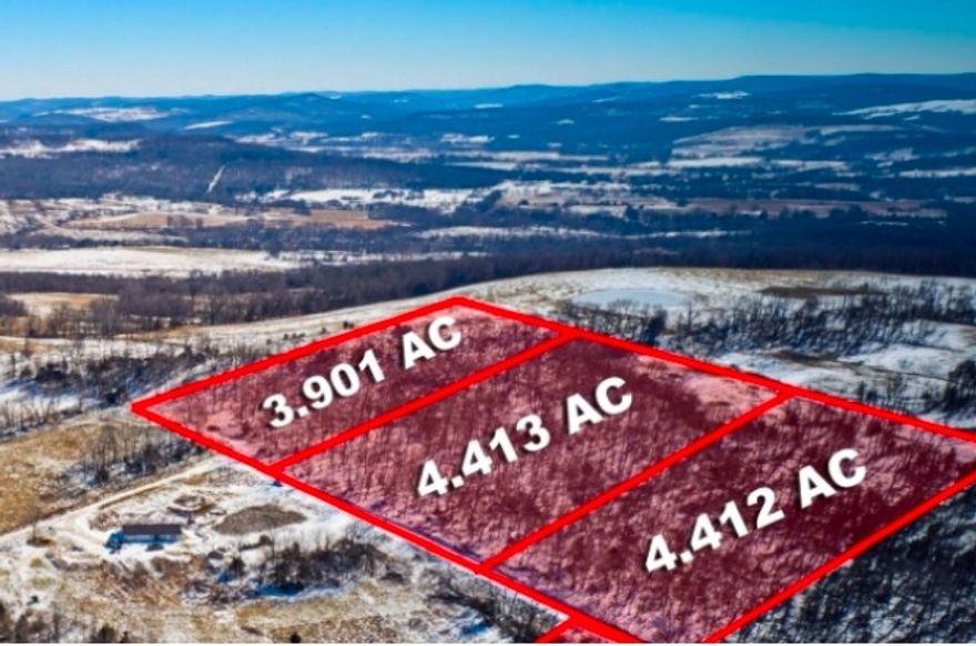 Explore this exceptional 12.73 acre property comprised of three parcel ID's, nestled in a peaceful subdivision. This property has been surveyed and ready for it's new owner. The expansive land is a mix of open partially cleared, and wooded spaces, featuring a serene private pond-ideal for relaxation and recreation. A perk test has been completed and electricity is at the street. A future 911 address is to be determined, and a well is needed on the property. No mobile homes allowed. Additional lots are available in the subdivision refer to MLS #1338198. Don't miss this rare find! Buyer to do their own due diligence.