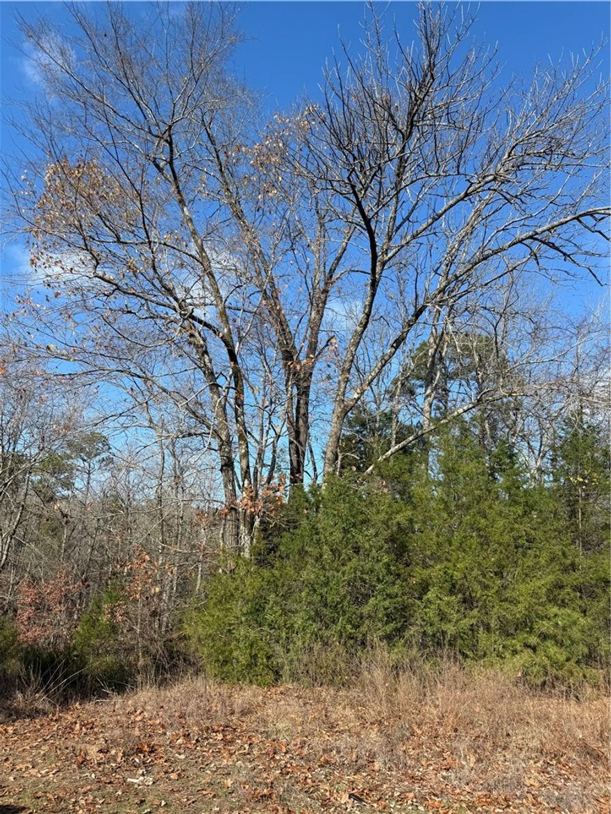 3 beautiful acres with a creek running through 
While this land isn’t suitable for building or homesteading, it offers the perfect escape for anyone wanting a quiet place to relax, explore, and enjoy nature.
Sometimes you don’t need a house—you just need peace.