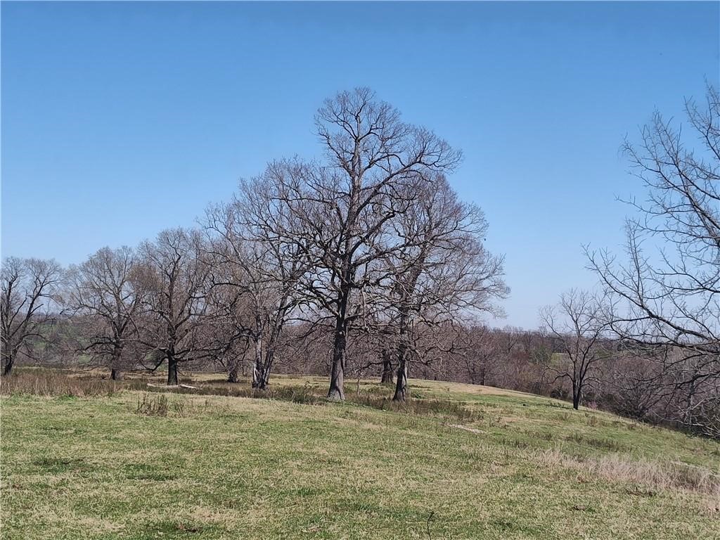 STR 03-17-29, 04-17-29 - Land