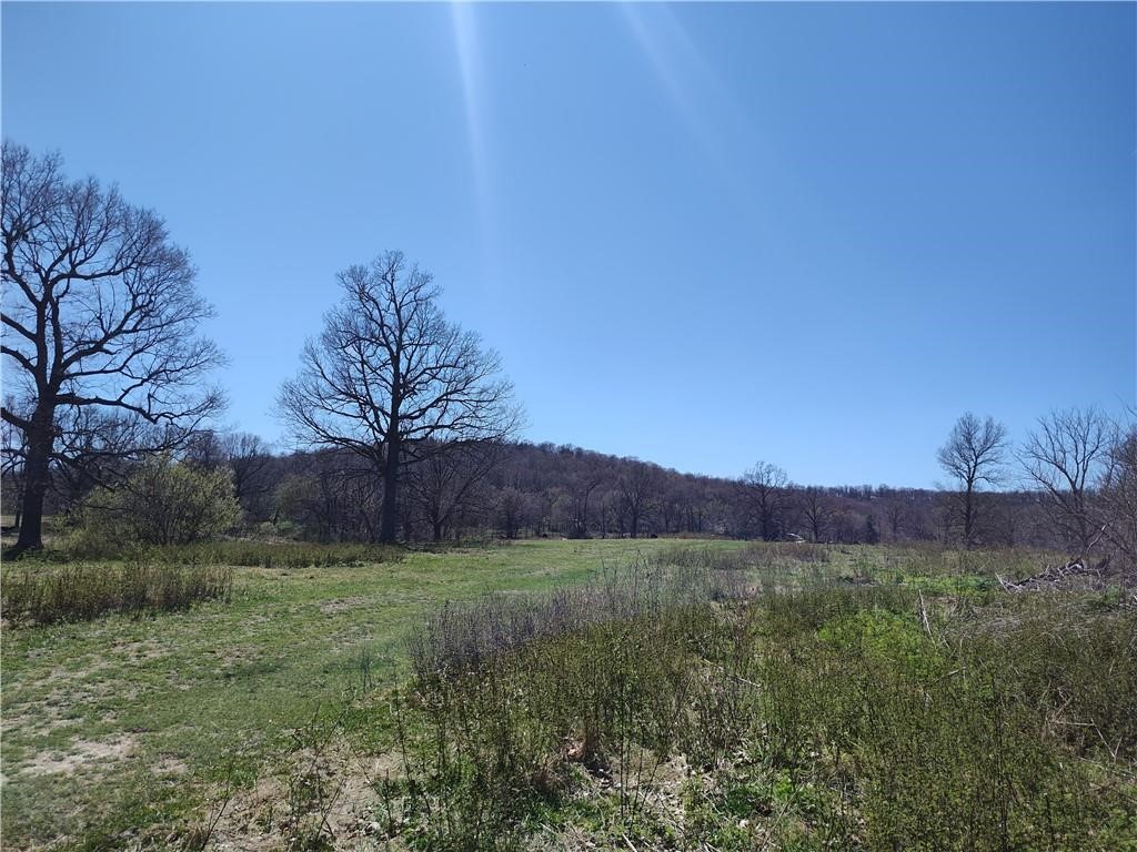 Nearly 95 acres of land in the heart of Northwest Arkansas! Beautiful views, fenced, with more than one home site. This wide open space is full of possibilities on the edge of Springdale, AR.