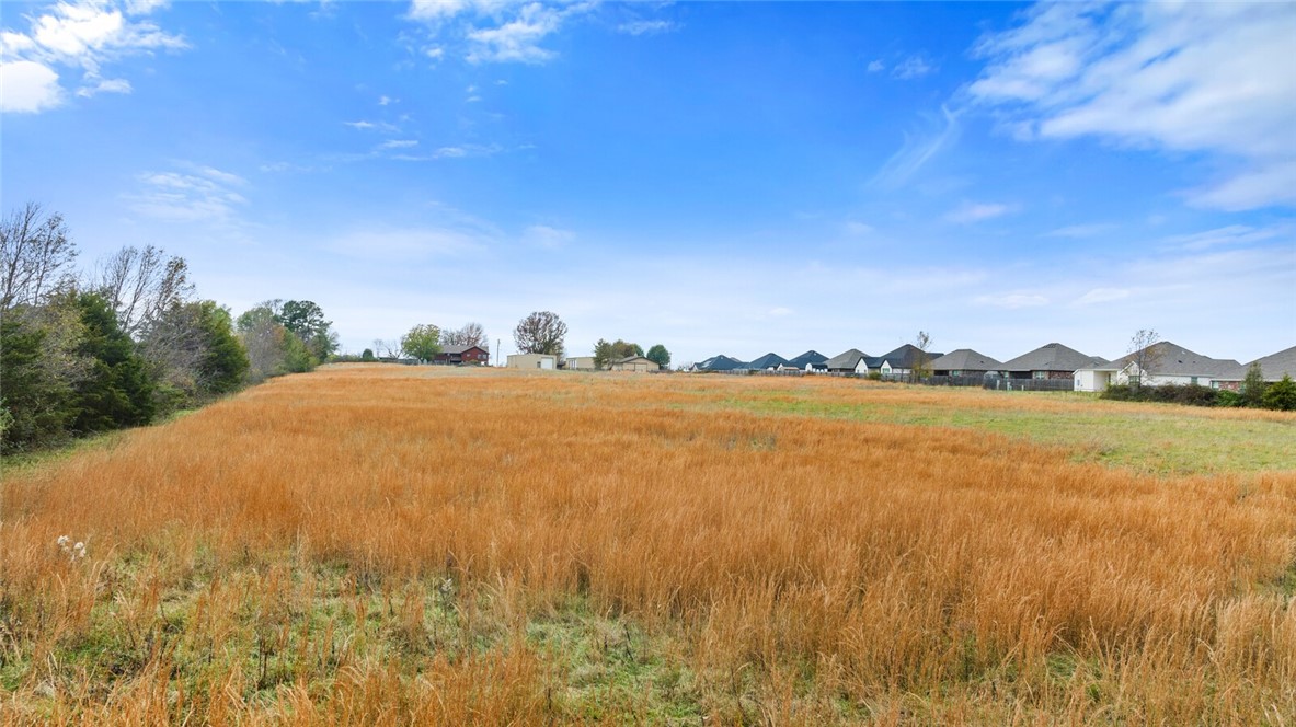 Springdale Outlots - Residential