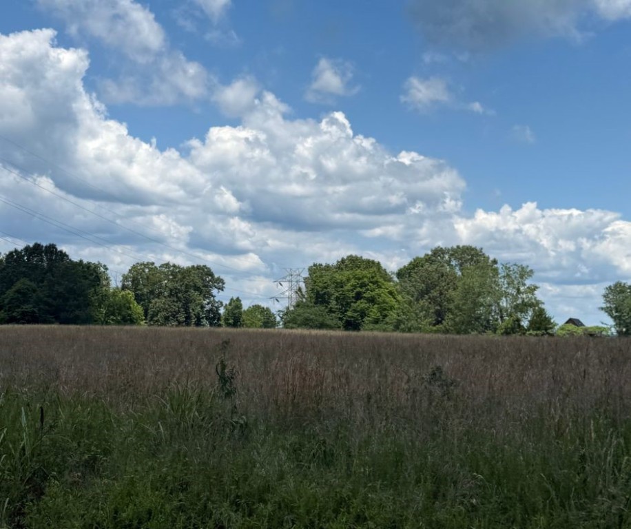Malidia On The River - Land