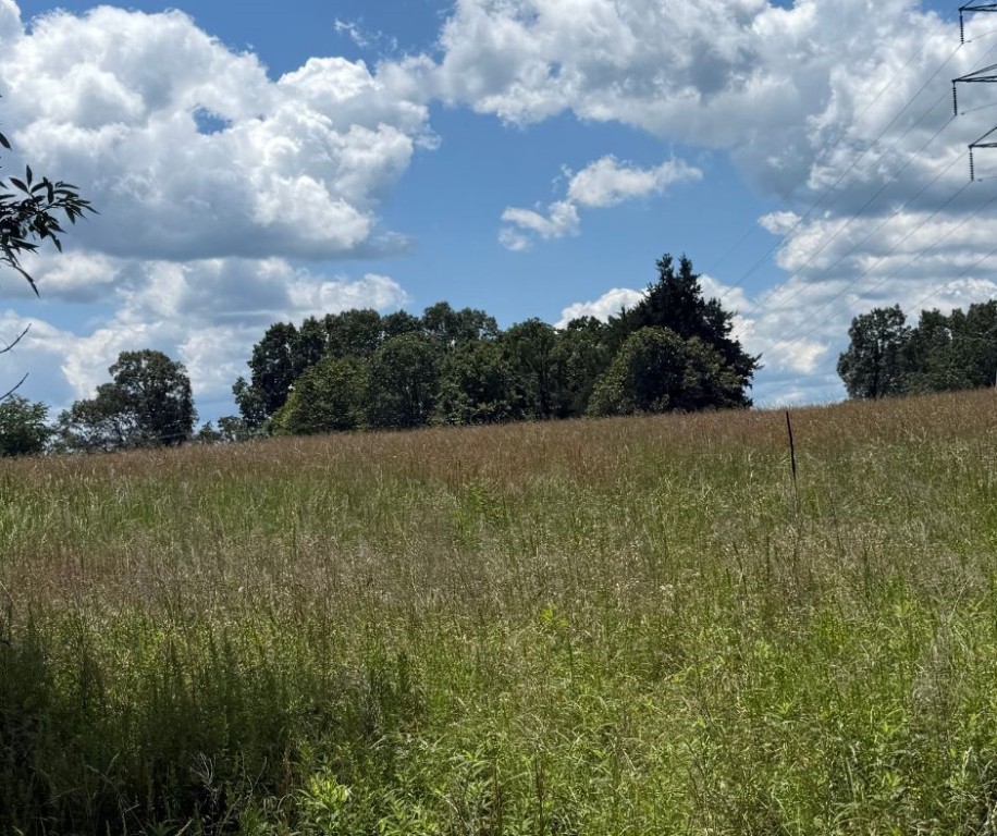 Malidia On The River - Land