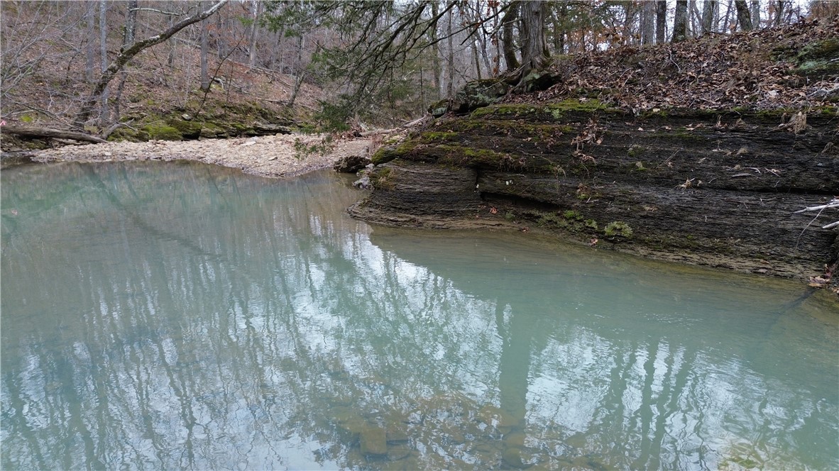 Listed at appraised value! Explore 106 wooded acres featuring nice mature hardwoods and a large cedar grove that offers great cover for wildlife. A fully stocked fishing pond adds to the appeal, along with Mill Creek flowing through the back corner of the property. Rural water and electric are available. Multiple potential building sites make this an ideal spot for a cabin, hunting camp, or custom home. Wildlife is abundant—deer, turkey, and black bear all call this land home—perfect for those who enjoy hunting or simply being surrounded by nature. Call today to schedule your private tour—this one checks all the boxes for recreation, privacy, and potential.