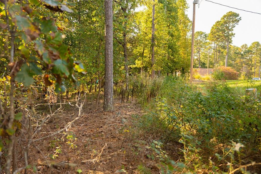 Discover an exceptional opportunity to create your ideal home on this gently sloped, over half-acre lot in Bella Vista. Nestled on Wychwood Lane, you’ll be the first to build on this street, which the City of Bella Vista will complete once construction begins. Enjoy peaceful natural surroundings and convenient access to amazing amenities including scenic lakes, golf courses, hiking and biking trails, and recreation centers.