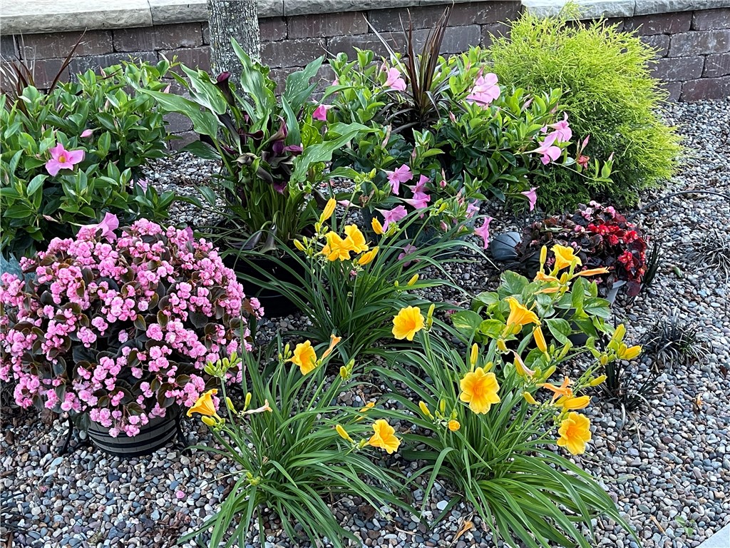 Outdoor Resorts In The Ozarks - Land