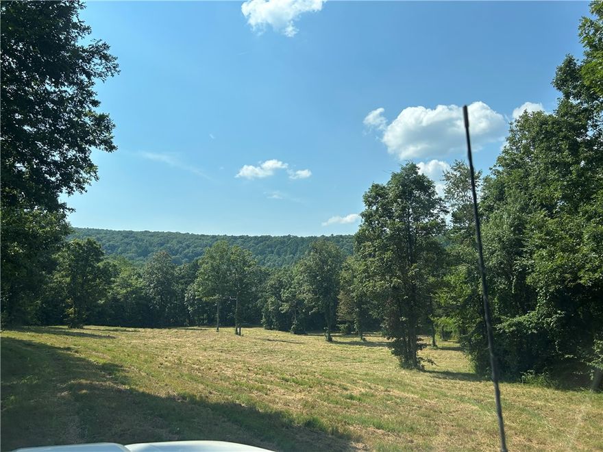 Here is hunting property you have been looking for.  Best area in the county.  80 acres of hunting with 3 stands, 3 food plots, 3 ponds, 2 creeks, endless wildlife, bear, turkey.  Three sides adjoin National Forest  Also there is timber value.  Gates are kept closed.  Appointment only.